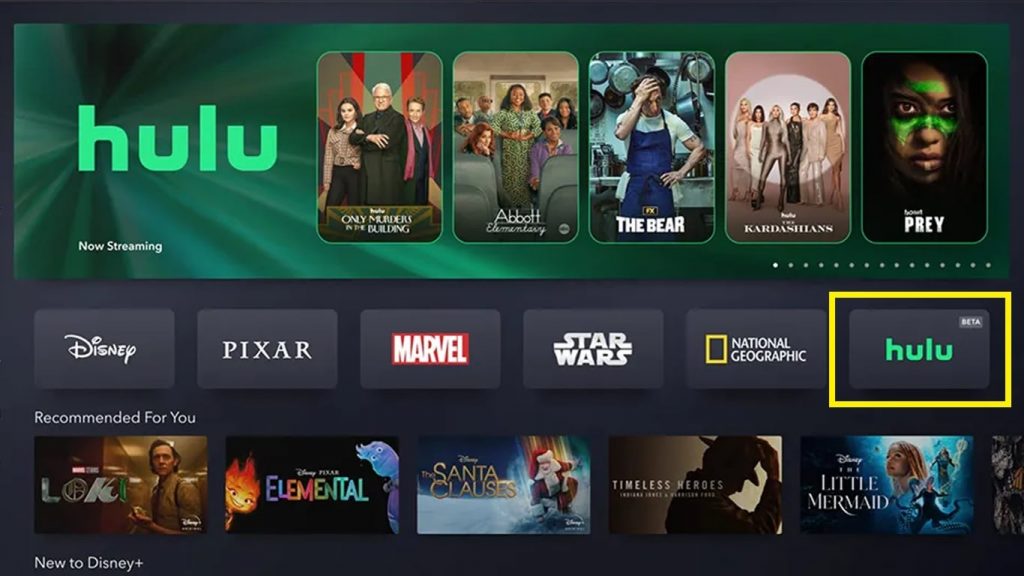 Disney+ Summer Guide: Movies, Series & Free Trial