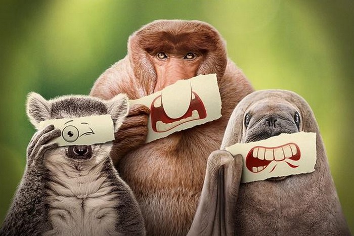 Disney+ 