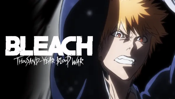 animes dublado bleach